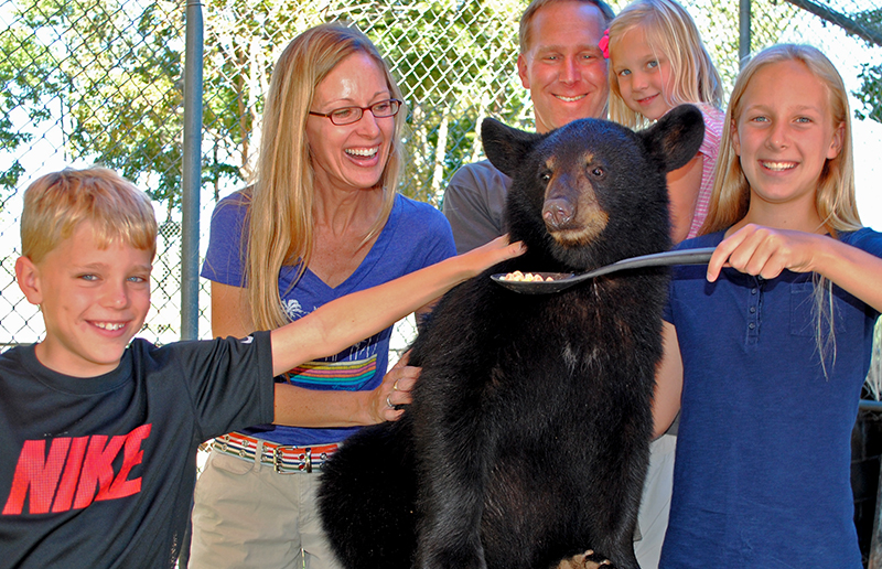 Oswald's Bear Ranch